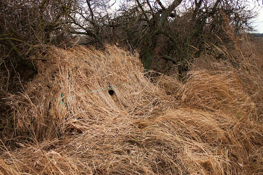 kryt na fotenie dravcov